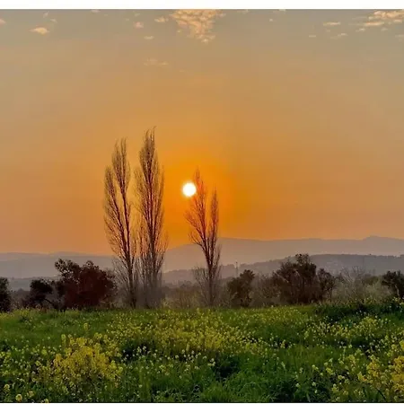 A Fascinating Toscana_like In